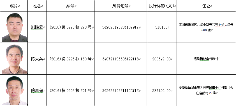 无为县法院失信被执行人名单