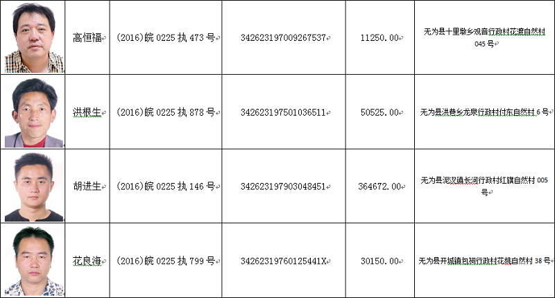 无为县法院失信被执行人名单